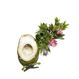 skinlabhk.myshopify.com My Clarins RE-BOOST 水嫩活力保濕面霜 My Clarins