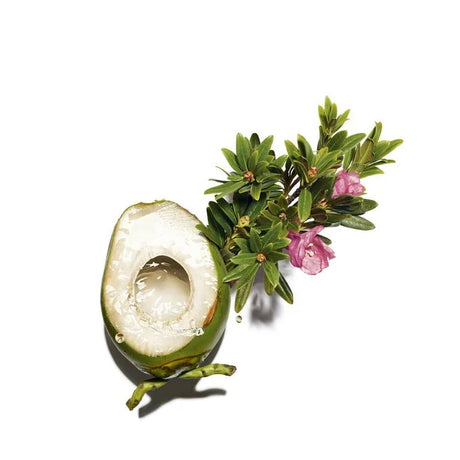 skinlabhk.myshopify.com My Clarins RE-BOOST 水嫩活力保濕面霜 My Clarins