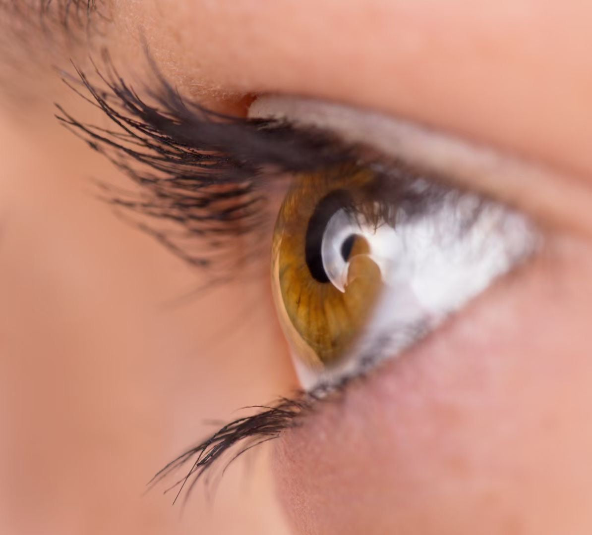 NUTRALUXE LASH MD 3ml 增長睫毛液精華 - 5SKINLAB